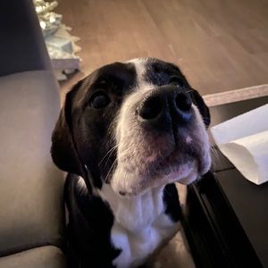 Meet your Posher, Timothy